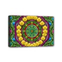 Bohemian Chic In Fantasy Style Mini Canvas 6  x 4  View1