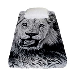 Lion Wildlife Art And Illustration Pencil Fitted Sheet (single Size) by Celenk