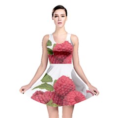 Fruit Healthy Vitamin Vegan Reversible Skater Dress by BangZart