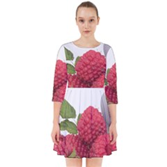 Fruit Healthy Vitamin Vegan Smock Dress by BangZart