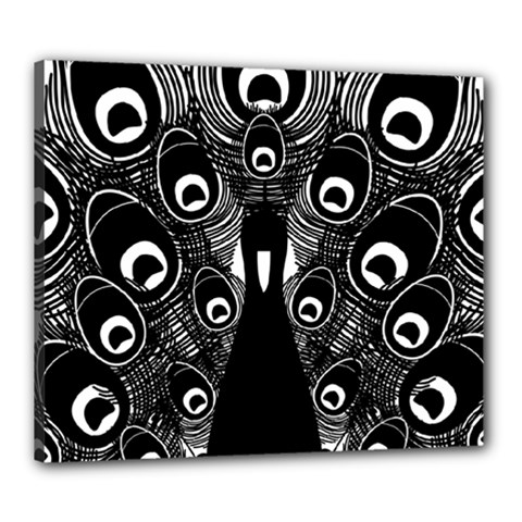Peacock Bird Animal Feather Canvas 24  X 20  by Celenk