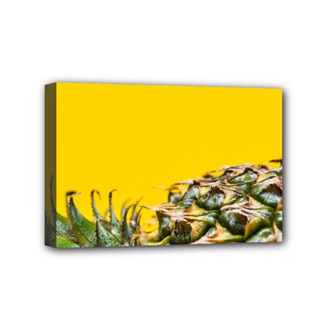 Pineapple Raw Sweet Tropical Food Mini Canvas 6  X 4  by Celenk