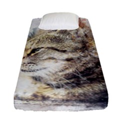 Cat Animal Art Abstract Watercolor Fitted Sheet (single Size) by Celenk