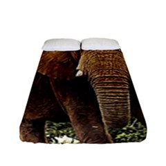 Elephant Animal Art Abstract Fitted Sheet (full/ Double Size) by Celenk