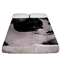 Cat Pet Art Abstract Vintage Fitted Sheet (king Size) by Celenk