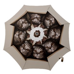 Cat Kitten Cute Pet Blanket Sweet Hook Handle Umbrellas (large) by Celenk