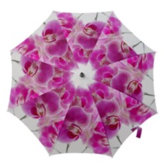 Orchid Phaleonopsis Art Plant Hook Handle Umbrellas (medium) by Celenk