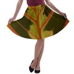 Amaranthus A-line Skater Skirt by DeneWestUK