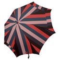Boy Hook Handle Umbrellas (Large) View2