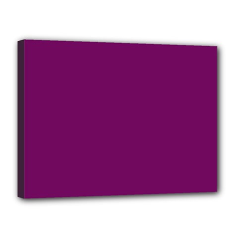 Magenta Ish Purple Canvas 16  X 12  by snowwhitegirl