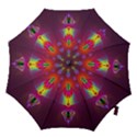 Abstract Bright Colorful Background Hook Handle Umbrellas (Small) View1