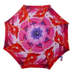 Abstract Art Background Paint Hook Handle Umbrellas (medium) by Nexatart