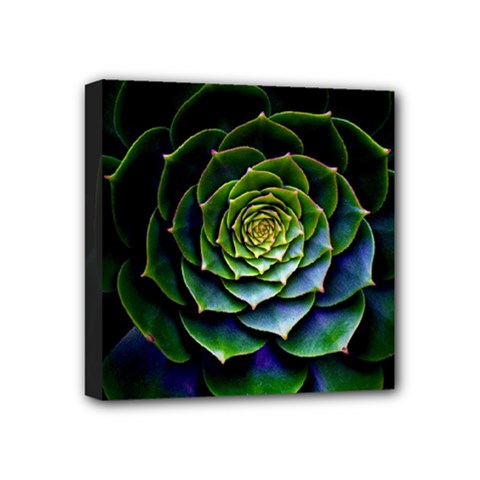 Nature Desktop Flora Color Pattern Mini Canvas 4  X 4  by Nexatart