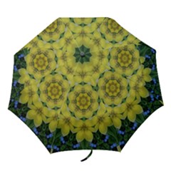 Fantasy Plumeria Decorative Real And Mandala Folding Umbrellas by pepitasart