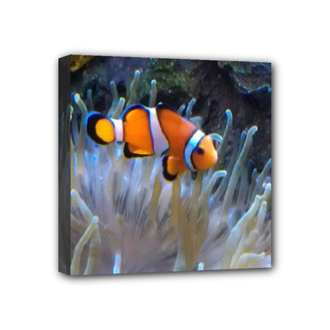 Clownfish 2 Mini Canvas 4  X 4  by trendistuff