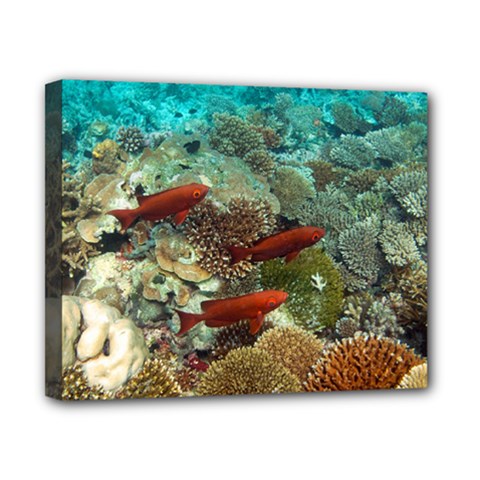 Coral Garden 1 Canvas 10  X 8  by trendistuff
