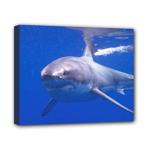Great White Shark 4 Canvas 10  X 8  by trendistuff