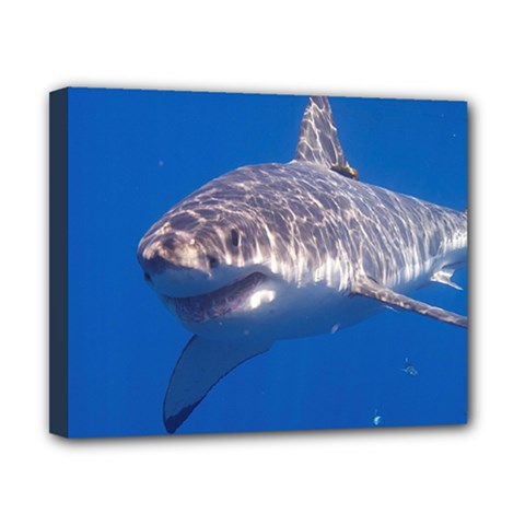 Great White Shark 5 Canvas 10  X 8  by trendistuff