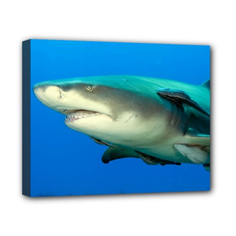 Lemon Shark Canvas 10  X 8  by trendistuff