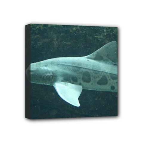 Leopard Shark Mini Canvas 4  X 4  by trendistuff