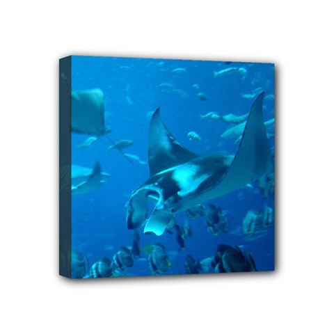 Manta Ray 2 Mini Canvas 4  X 4  by trendistuff