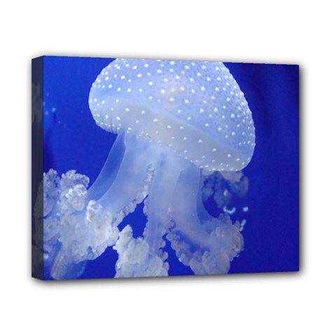 Spotted Jellyfish Canvas 10  X 8  by trendistuff