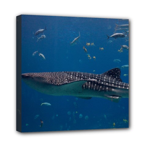 Whale Shark 1 Multi Function Bag	 by trendistuff