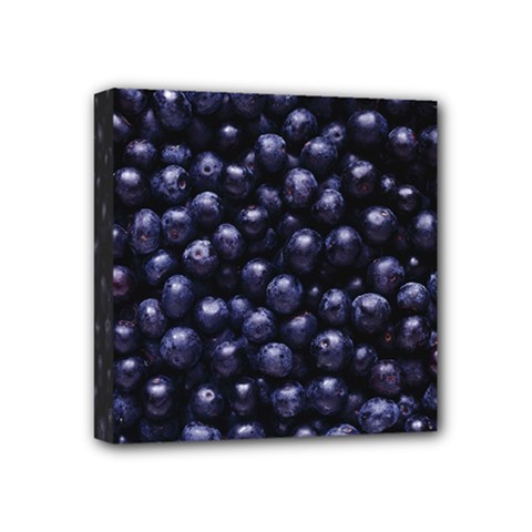Blueberries 4 Mini Canvas 4  X 4  by trendistuff