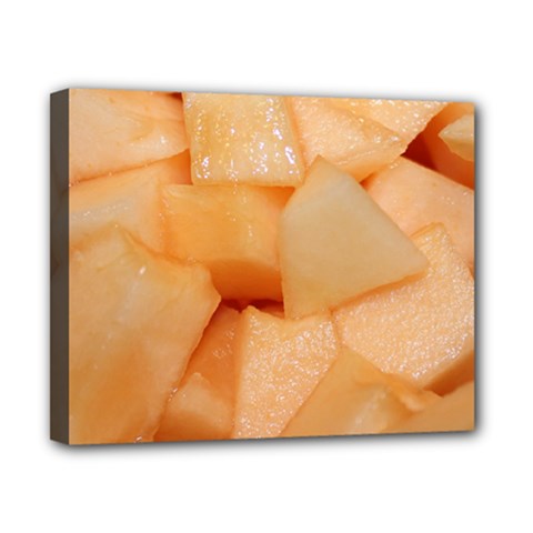 Cantaloupe Canvas 10  X 8  by trendistuff
