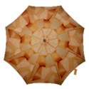 CANTALOUPE Hook Handle Umbrellas (Large) View1
