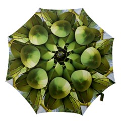 Coconuts 1 Hook Handle Umbrellas (small) by trendistuff