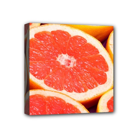 Grapefruit 1 Mini Canvas 4  X 4  by trendistuff