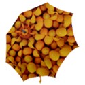 KUMQUAT 1 Hook Handle Umbrellas (Large) View2
