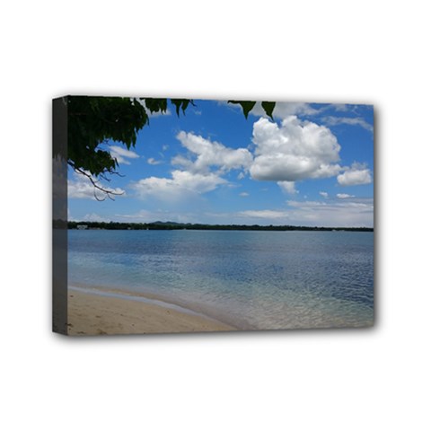 Isabela Puerto Rico Mini Canvas 7  X 5  by StarvingArtisan