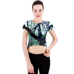 Highland Park 11 Crew Neck Crop Top by bestdesignintheworld