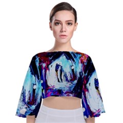 Funny House Tie Back Butterfly Sleeve Chiffon Top by bestdesignintheworld