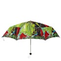 Dscf2262 - point of view - part3 Folding Umbrellas View3