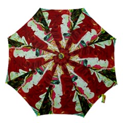 Dscf1676 - Roxana An Alexander Hook Handle Umbrellas (small) by bestdesignintheworld