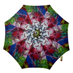 Dscf1741 - Funny Clown Hook Handle Umbrellas (small) by bestdesignintheworld