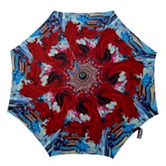 Dscf2258 - Point Of View-1 Hook Handle Umbrellas (small) by bestdesignintheworld