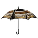 Dscf1952 - pandora box Hook Handle Umbrellas (Small) View3