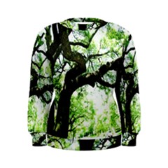 Lake Park 6 Women s Sweatshirt by bestdesignintheworld