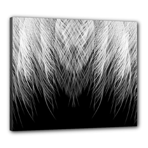 Feather Graphic Design Background Canvas 24  X 20  by Sapixe