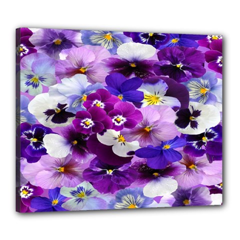 Graphic Background Pansy Easter Canvas 24  X 20  by Sapixe