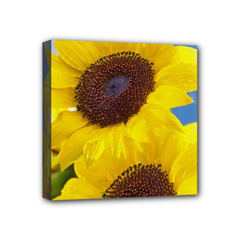 Sunflower Floral Yellow Blue Sky Flowers Photography Mini Canvas 4  X 4  by yoursparklingshop
