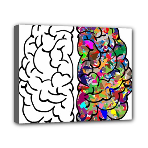 Brain Mind Anatomy Canvas 10  X 8  by Simbadda