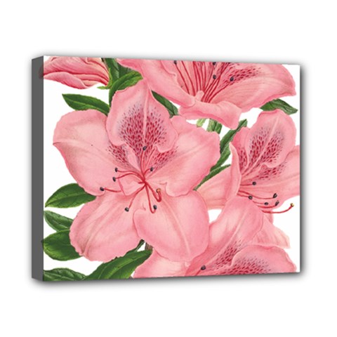 Flower Plant Blossom Bloom Vintage Canvas 10  X 8  by Sapixe