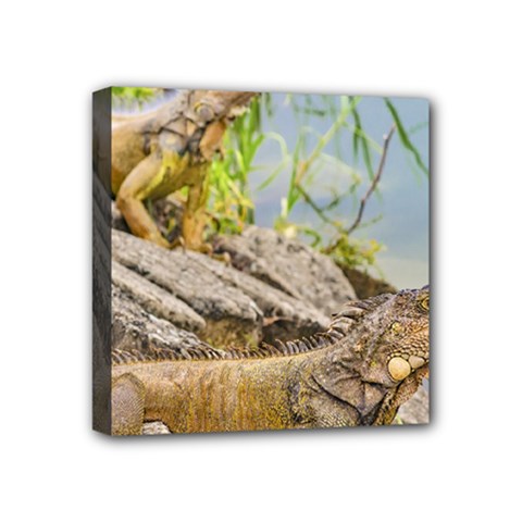 Iguanas At Shore Of River In Guayaqui, Ecuador Mini Canvas 4  X 4  by dflcprints