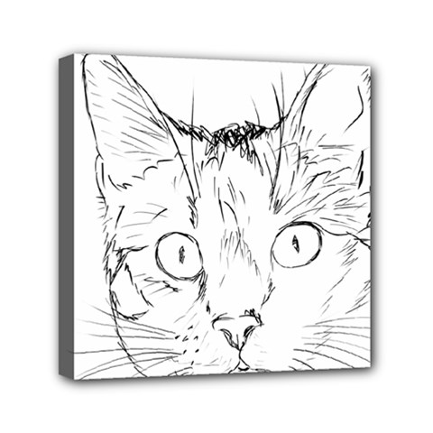 Cat Feline Animal Pet Mini Canvas 6  X 6  by Sapixe