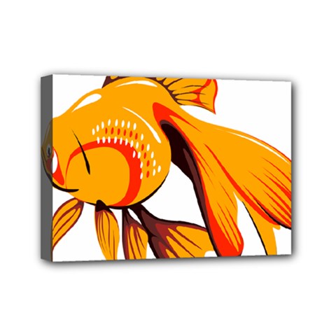 Goldfish Fish Tank Water Tropical Mini Canvas 7  X 5  by Sapixe
